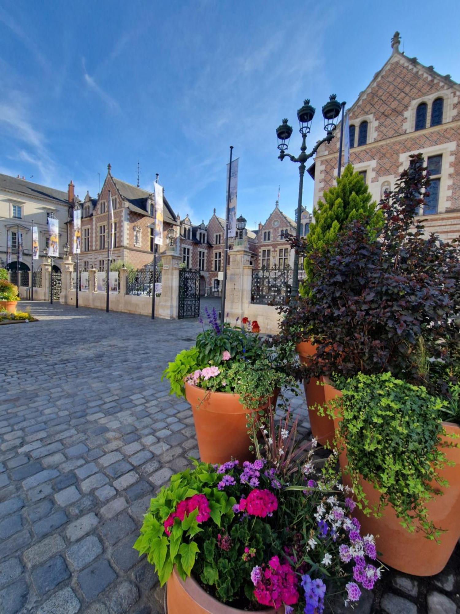 Bnb L'Orleanais Hyper Centre D'Orleans Proche Gare Parking Exterior photo